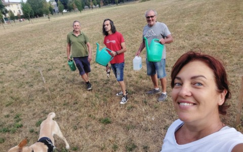 Arcore, il caldo soffoca il verde: i cittadini della Cascina del Bruno salvano le piante del Comune