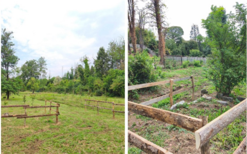 Completate le staccionate di protezione nell’area di Forestazione e  del Frutteto nella Valle dei Mulini