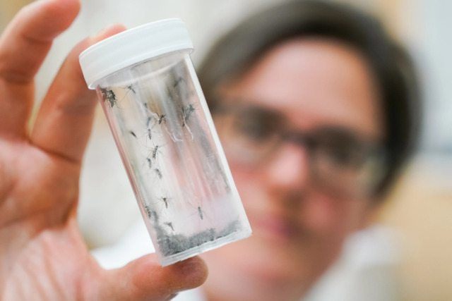 Disinfestazione straordinaria per un caso sospetto di Dengue