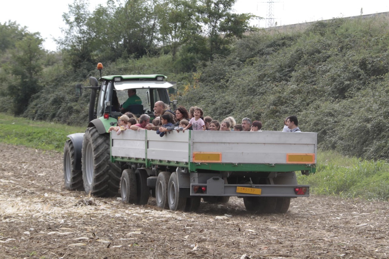Domenica 27 settembre torna la Giornata sull’Aia: appuntamento dalle 10 all’Azienda Agricola Frigerio