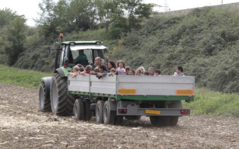 Domenica 27 settembre torna la Giornata sull’Aia: appuntamento dalle 10 all’Azienda Agricola Frigerio