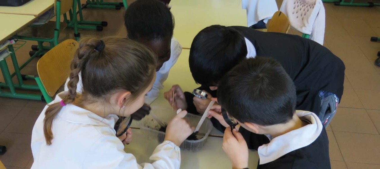 Tornano i laboratori di educazione ambientale nelle scuole targati Gelsia Ambiente
