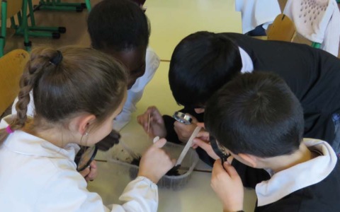 Tornano i laboratori di educazione ambientale nelle scuole targati Gelsia Ambiente