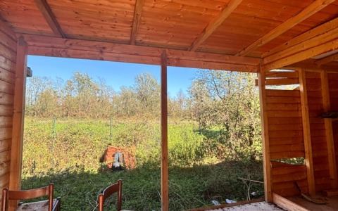 Furto e danni al rifugio per i cani, i ladri smontano le casette di legno