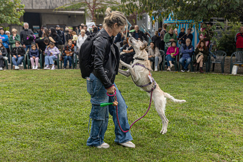 Giornata degli Animali 2026, doppio appuntamento con ENPA Monza e Brianza