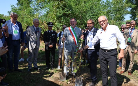 Ogni pilota, un albero: in Autodromo piantumati altri 22 esemplari