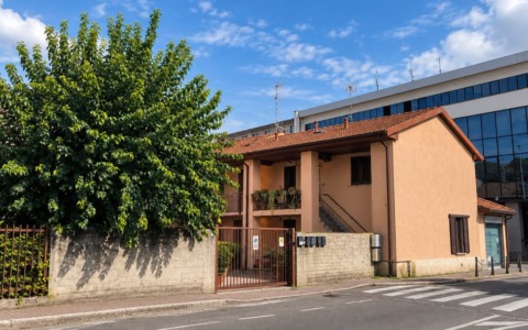 L’antico gelso verso l’abbattimento: «Passate tutti per l’ultimo saluto»